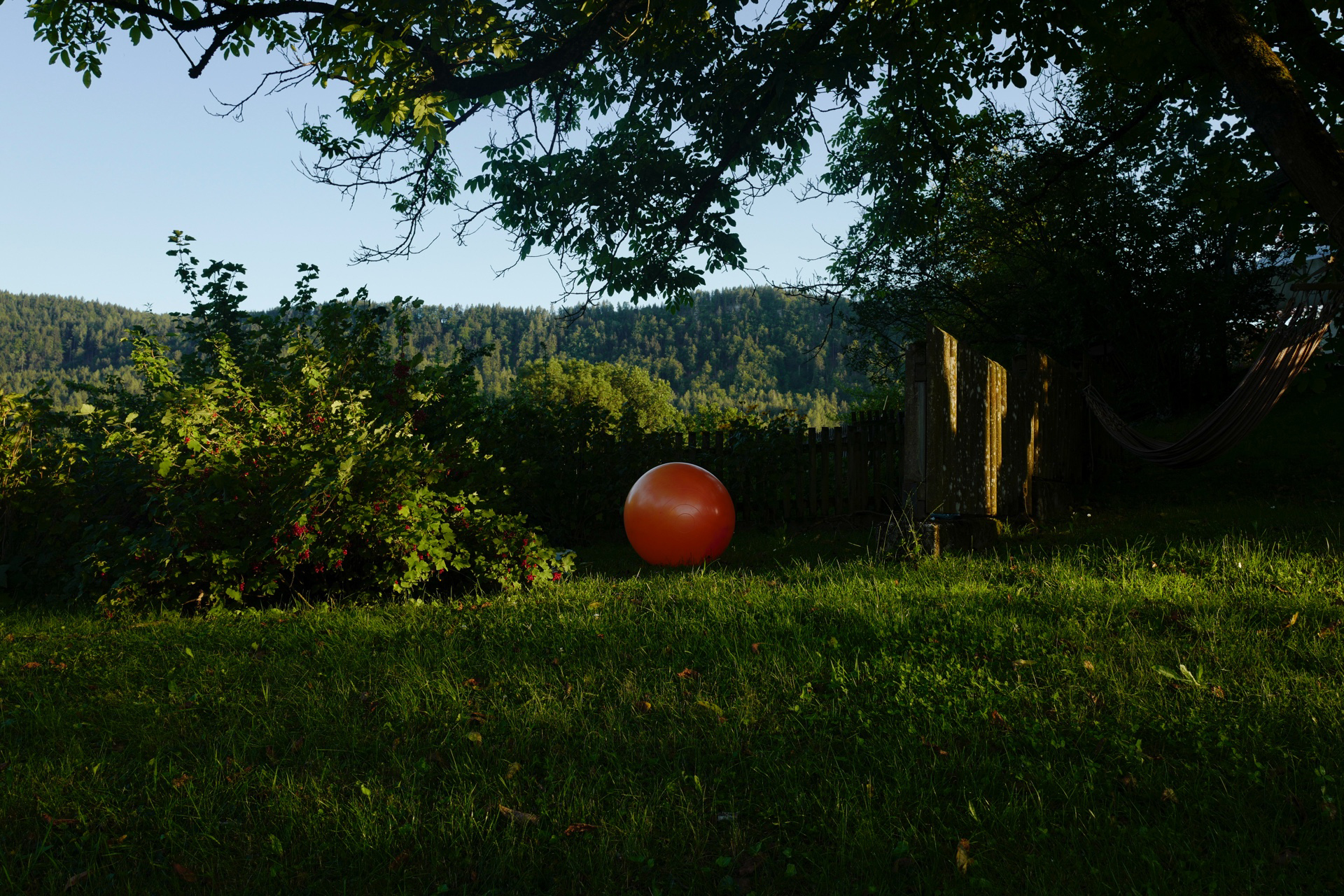 rauschelesee c max wessely ball leica q