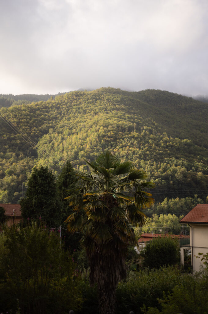 italien leica m11 50mm summicron rigid 011